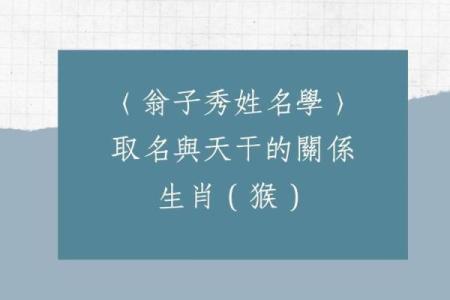 上午出生的属猴男孩起什么名，适合什么字姓名