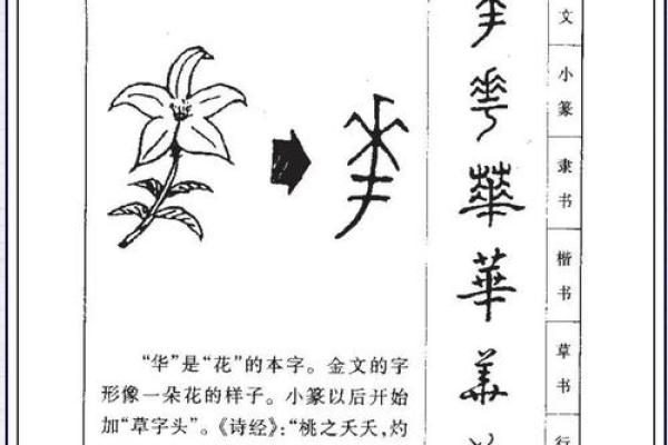 名字改善运势-姓名学-华易算命网姓名 名字改善运势-姓名学-华易算命网姓名