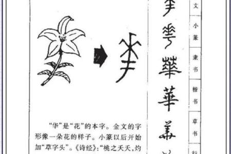 名字改善运势-姓名学-华易算命网姓名