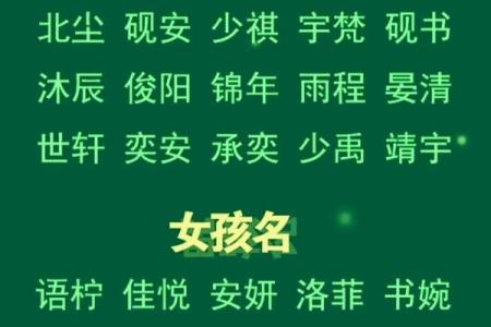 苗姓女孩名字大全-苗姓女孩起名字大全-苗姓名字大全姓名