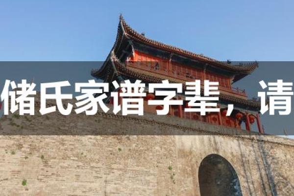 储姓女孩名字大全-储姓女孩起名字大全-储姓名字大全姓名