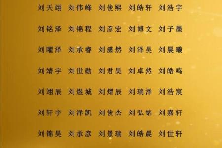 属鼠辰时出生的男孩宜用什么字取名字，怎样取名字姓名