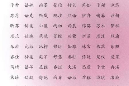 储姓女孩名字大全-储姓女孩起名字大全-储姓名字大全姓名