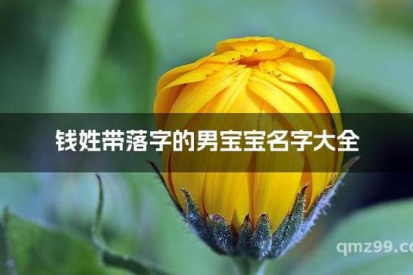 钱姓男孩名字大全-钱姓男孩起名字大全-钱姓名字大全姓名 钱姓男孩名字大全-钱姓男孩起名字大全-钱姓名字大全姓名