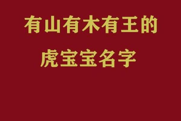 下午2点出生的属虎男孩起什么名，宜用什么字姓名