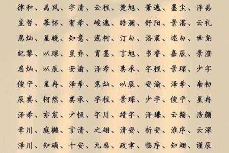 2019年5月28号子时出生的男孩起名时要注意什么姓名