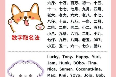 一月份出生的属狗男孩如何取名字姓名