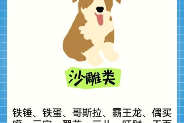 早上九点出生的属狗男孩取什么名,适合什么字姓名 早上九点出生的属狗男孩取什么名,适合什么字姓名