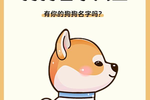 早上九点出生的属狗男孩取什么名,适合什么字姓名 早上九点出生的属狗男孩取什么名,适合什么字姓名