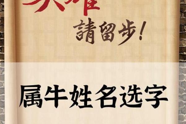 适合下午2点出生的属牛男孩的好听的名字姓名 适合下午2点出生的属牛男孩的好听的名字姓名