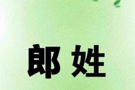 郎姓男孩名字大全-郎姓男孩起名字大全-郎姓名字大全姓名