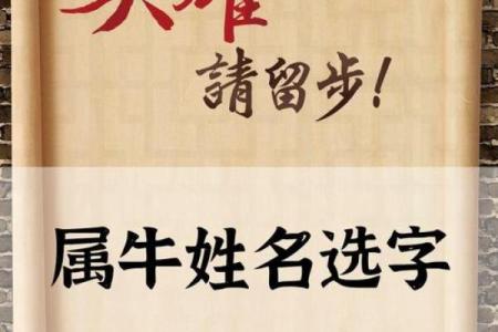 适合下午2点出生的属牛男孩的好听的名字姓名