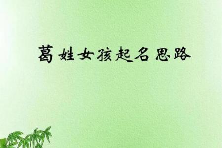 葛姓男孩名字大全-葛姓男孩起名字大全-葛姓名字大全姓名