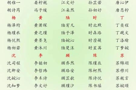 2019年3月29号亥时出生的男孩起名时要注意什么姓名