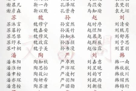 2019年6月13号寅时出生的男孩应该起什么样的名字姓名