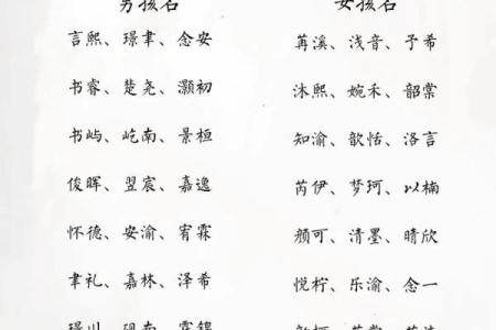 2019年3月25号辛时出生的男孩起名方法姓名