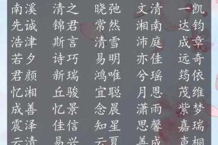 如何给下午3点出生的属鼠男孩起名字姓名