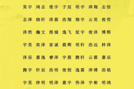 2019年5月17号寅时出生的男孩起名方法姓名