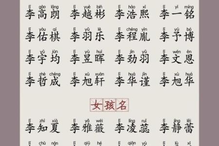 2019年3月24号子时出生的男孩应该起什么样的名字姓名