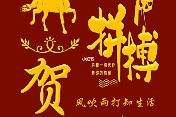 贺姓男孩名字大全-贺姓男孩起名字大全-贺姓名字大全姓名
