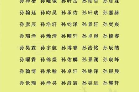 2019年6月5号寅时出生的男孩起名时要注意什么姓名