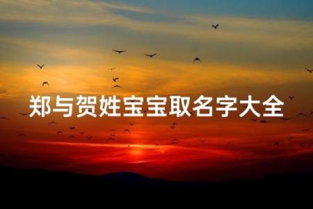 贺姓男孩名字大全-贺姓男孩起名字大全-贺姓名字大全姓名