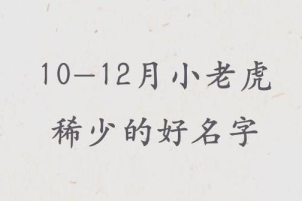 12月份出生的属虎男孩如何取名字姓名