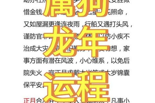 下午六点出生的属狗男孩如何取名，宜用什么字姓名