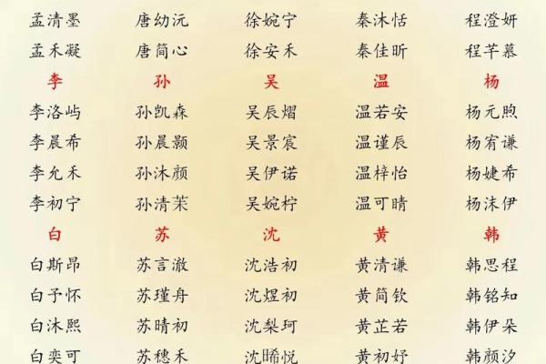 属猪辰时出生的男孩如何取名字，宜用什么字姓名