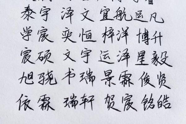 属猪辰时出生的男孩如何取名字，宜用什么字姓名