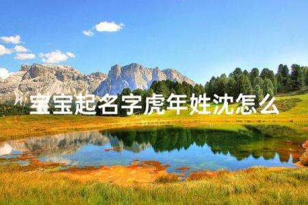 中午1点出生的属虎男孩如何起名，适合什么字姓名