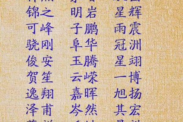 给晚上出生的属鼠男孩起名宜用什么字姓名