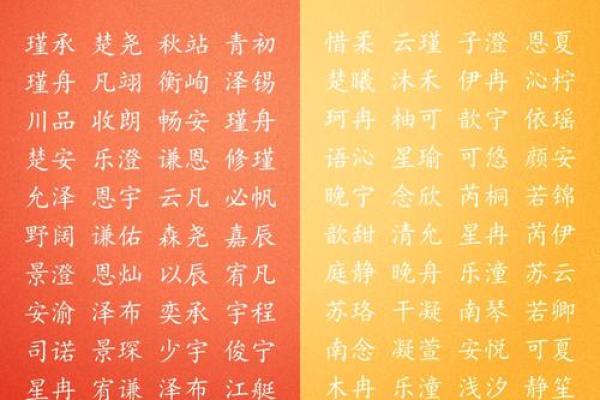 下午一点出生的属猴男孩如何取名，宜用什么字姓名