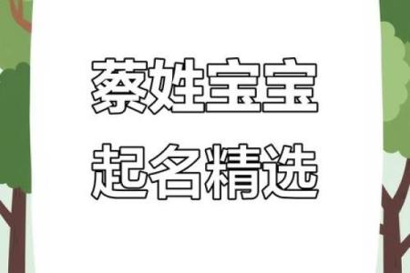 蔡姓男孩名字大全-蔡姓男孩起名字大全-蔡姓名字大全姓名