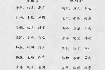 2019年5月23号丑时出生的男孩如何起名姓名