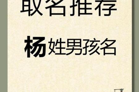 2019年3月10号子时出生的男孩如何起名姓名