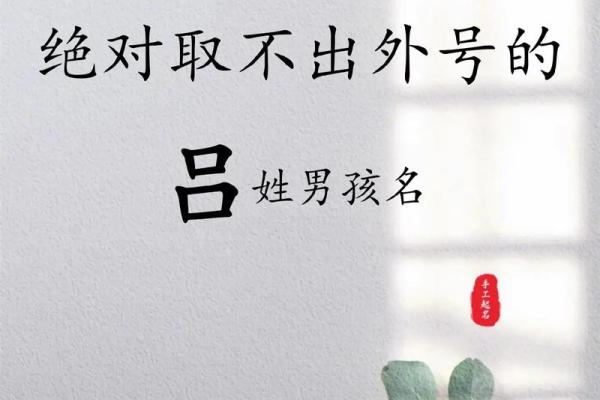 吕姓男孩名字大全-吕姓男孩起名字大全-吕姓名字大全姓名 吕姓男孩名字大全-吕姓男孩起名字大全-吕姓名字大全姓名