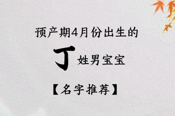 2019年4月19号卯时出生的男孩如何起名姓名