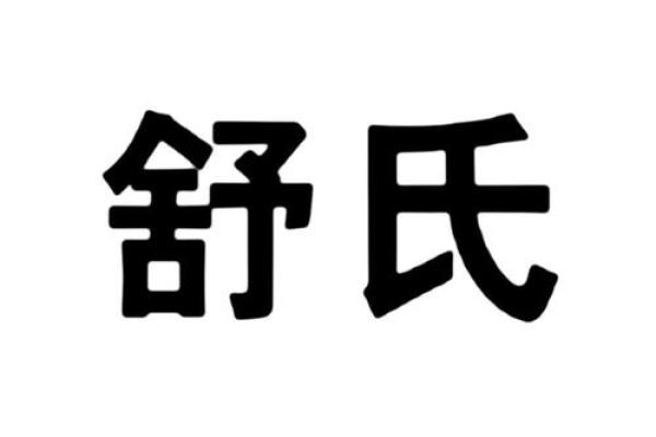舒姓男孩名字大全-舒姓男孩起名字大全-舒姓名字大全姓名