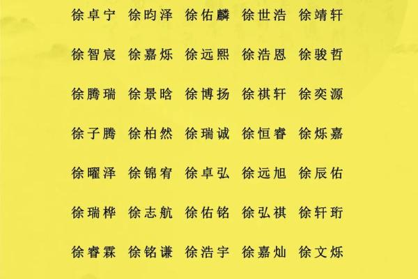 湛姓女孩名字大全-湛姓女孩起名字大全-湛姓名字大全姓名