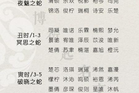 属蛇午时出生的男孩要怎么起名，适合哪些字姓名