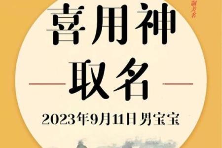 2019年6月23号卯时出生的男孩应该起什么样的名字姓名