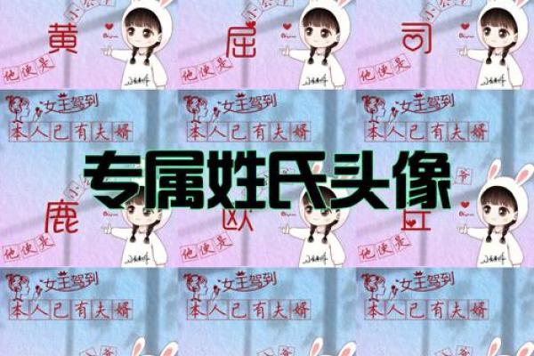 席姓女孩名字大全-席姓女孩起名字大全-席姓名字大全姓名