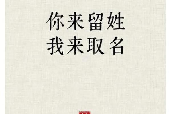 席姓女孩名字大全-席姓女孩起名字大全-席姓名字大全姓名