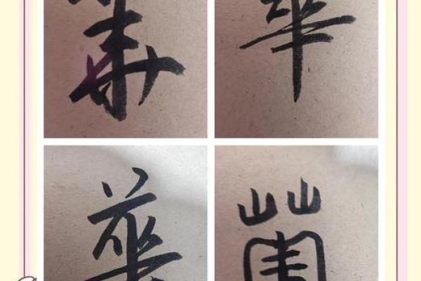 华姓男孩名字大全-华姓男孩起名字大全-华姓名字大全姓名