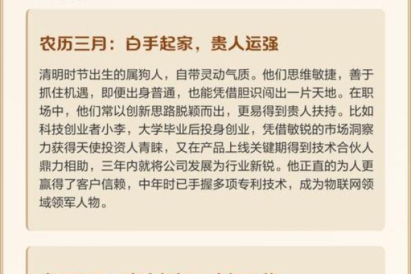 十二月份出生的属狗男孩应该怎样取一个好名字姓名 十二月份出生的属狗男孩应该怎样取一个好名字姓名