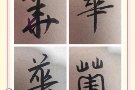 华姓男孩名字大全-华姓男孩起名字大全-华姓名字大全姓名