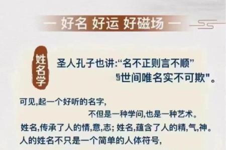 十二月份出生的属狗男孩应该怎样取一个好名字姓名