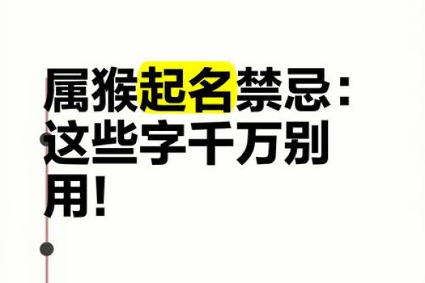 中午十二点出生的属猴男孩如何取名，适合什么字姓名
