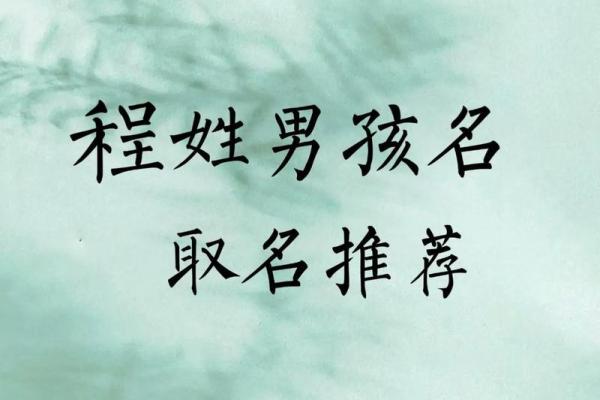 2019年3月28号酉时出生的男孩如何起名姓名